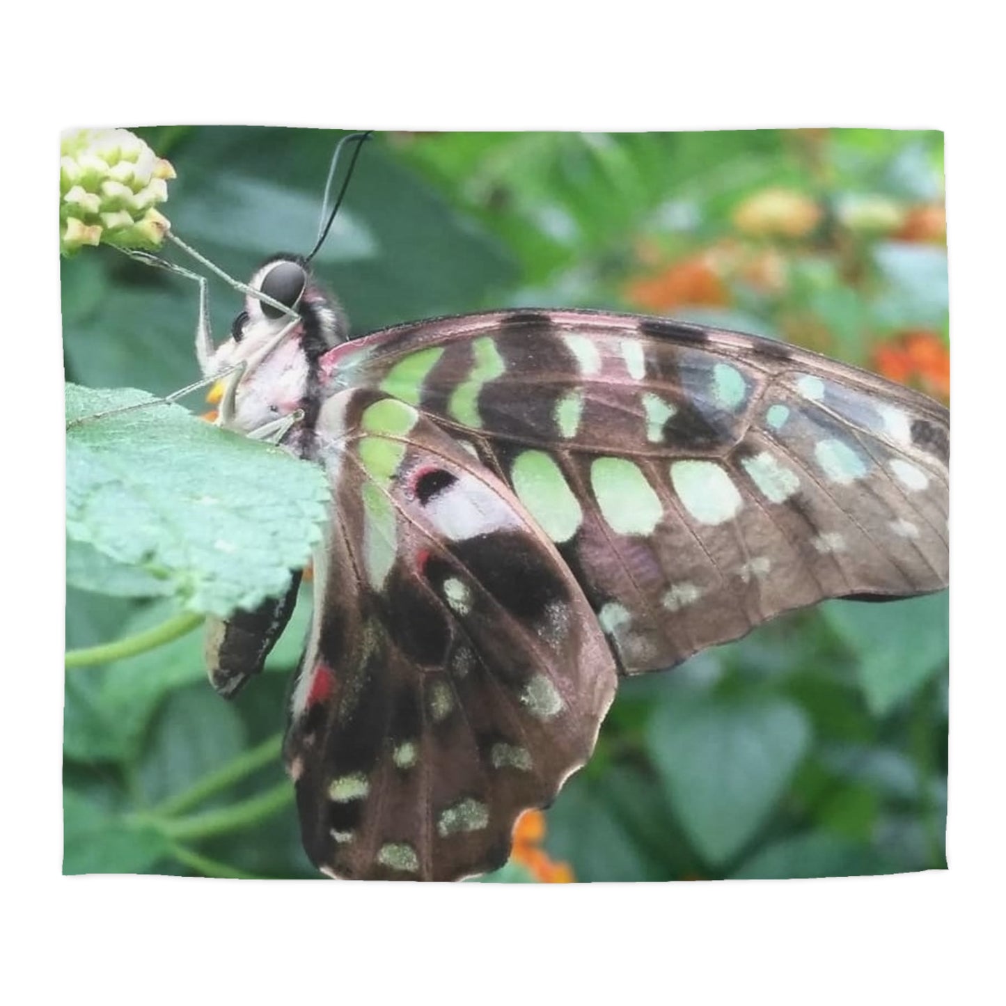 Duvet Papillon Cover
