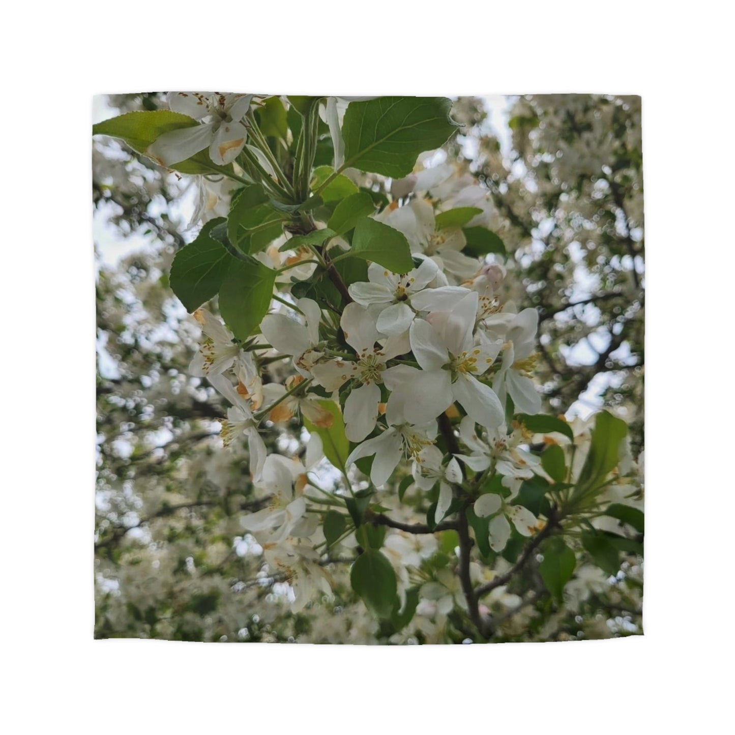 Duvet Fleurs Cover