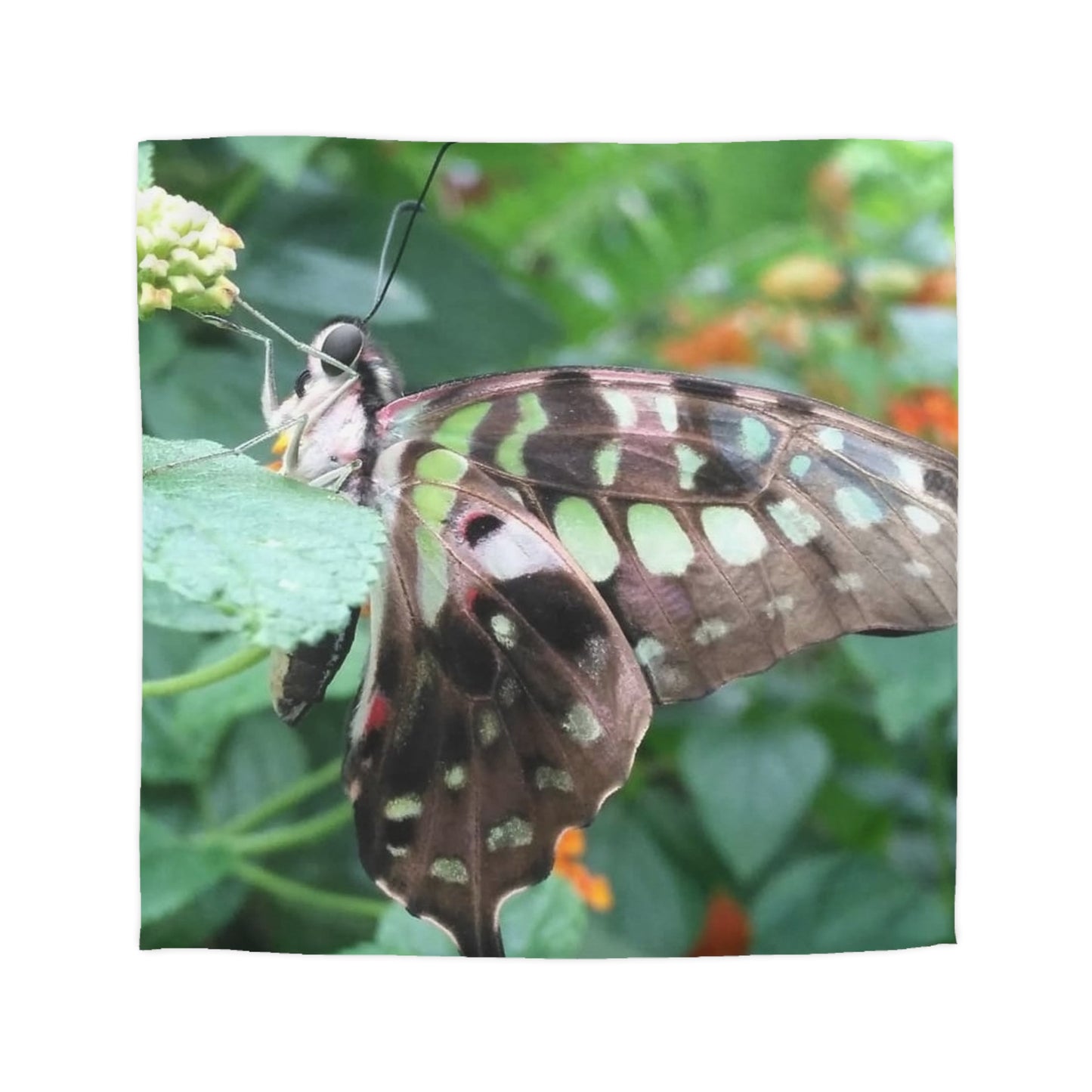 Duvet Papillon Cover