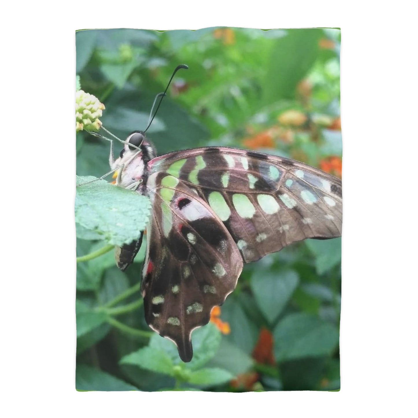 Duvet Papillon Cover
