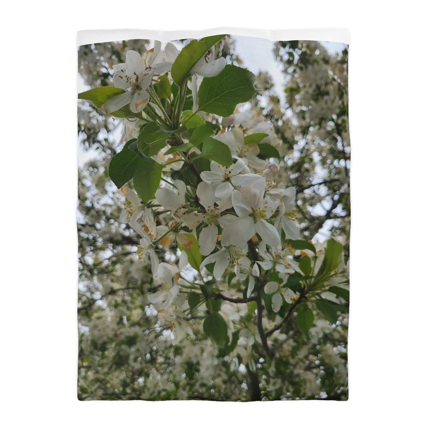 Duvet Fleurs Cover