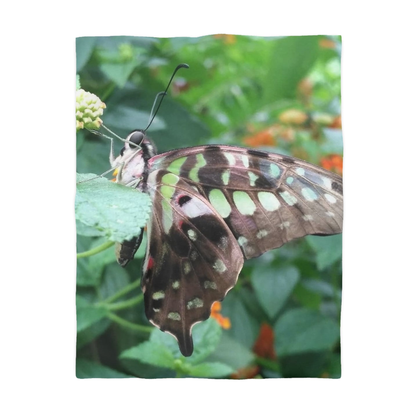 Duvet Papillon Cover