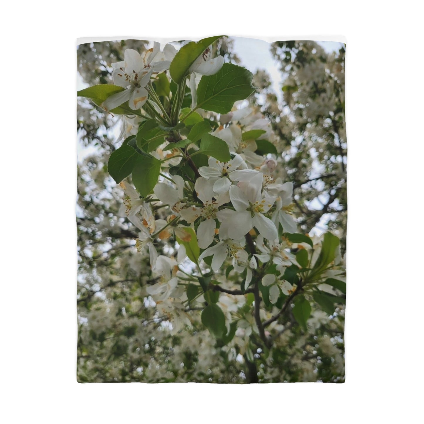Duvet Fleurs Cover