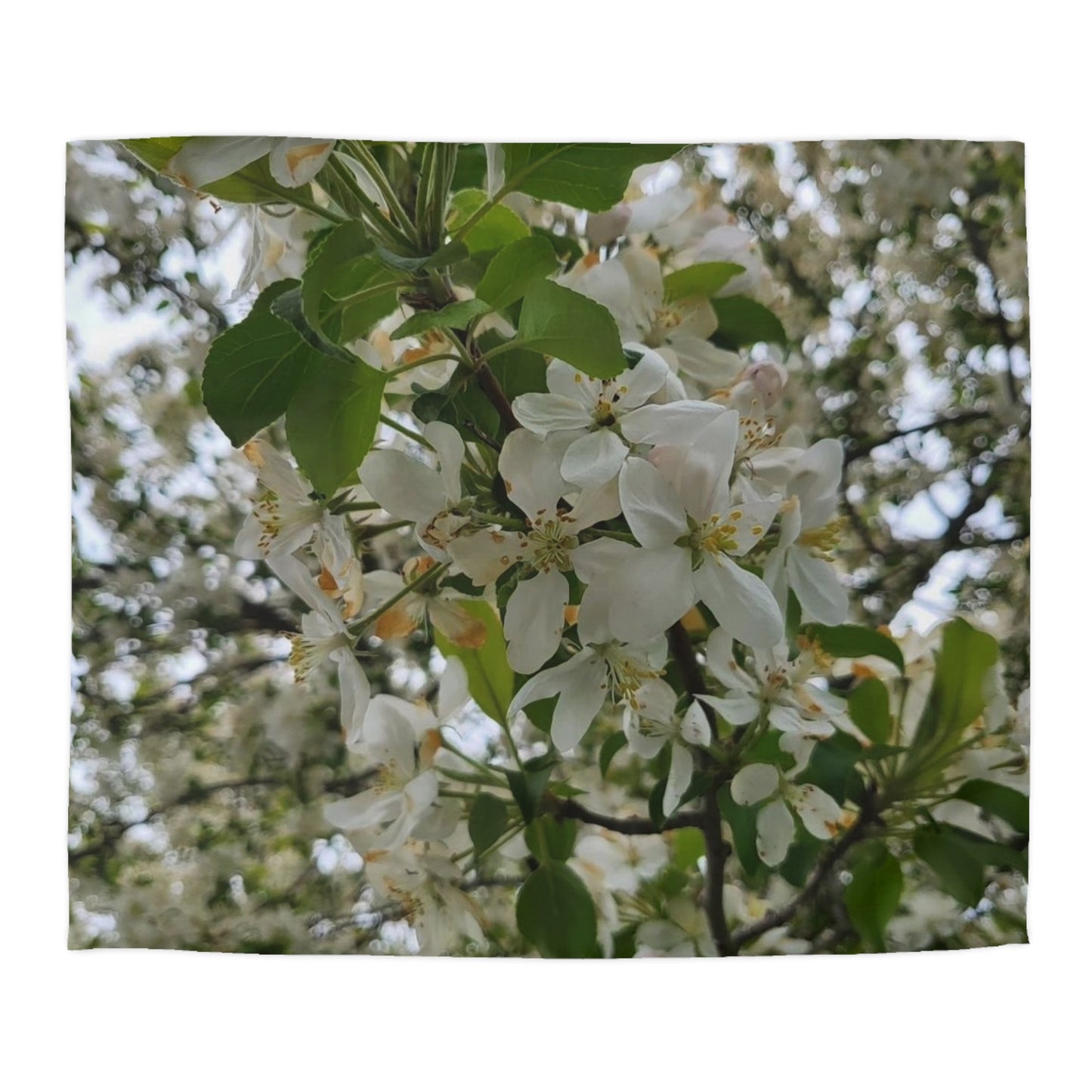 Duvet Fleurs Cover