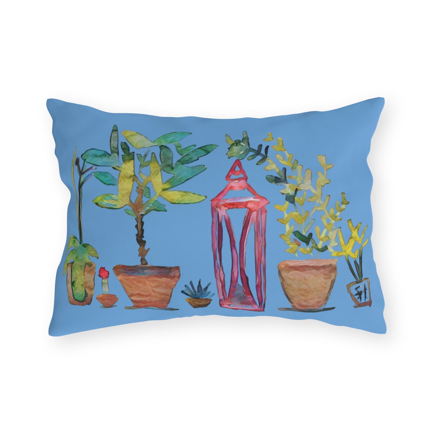 Outdoor Pillow Plants