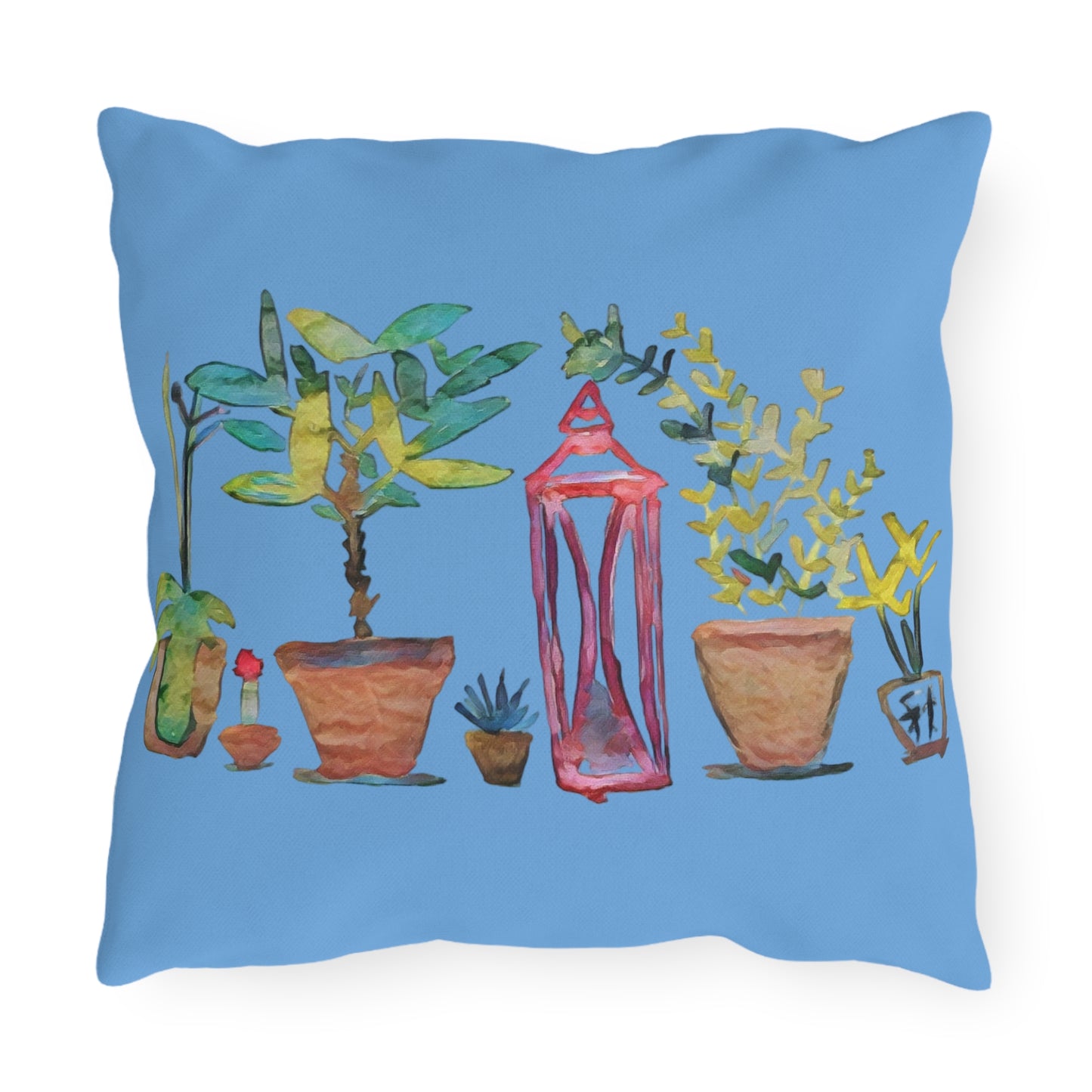 Outdoor Pillow Plants