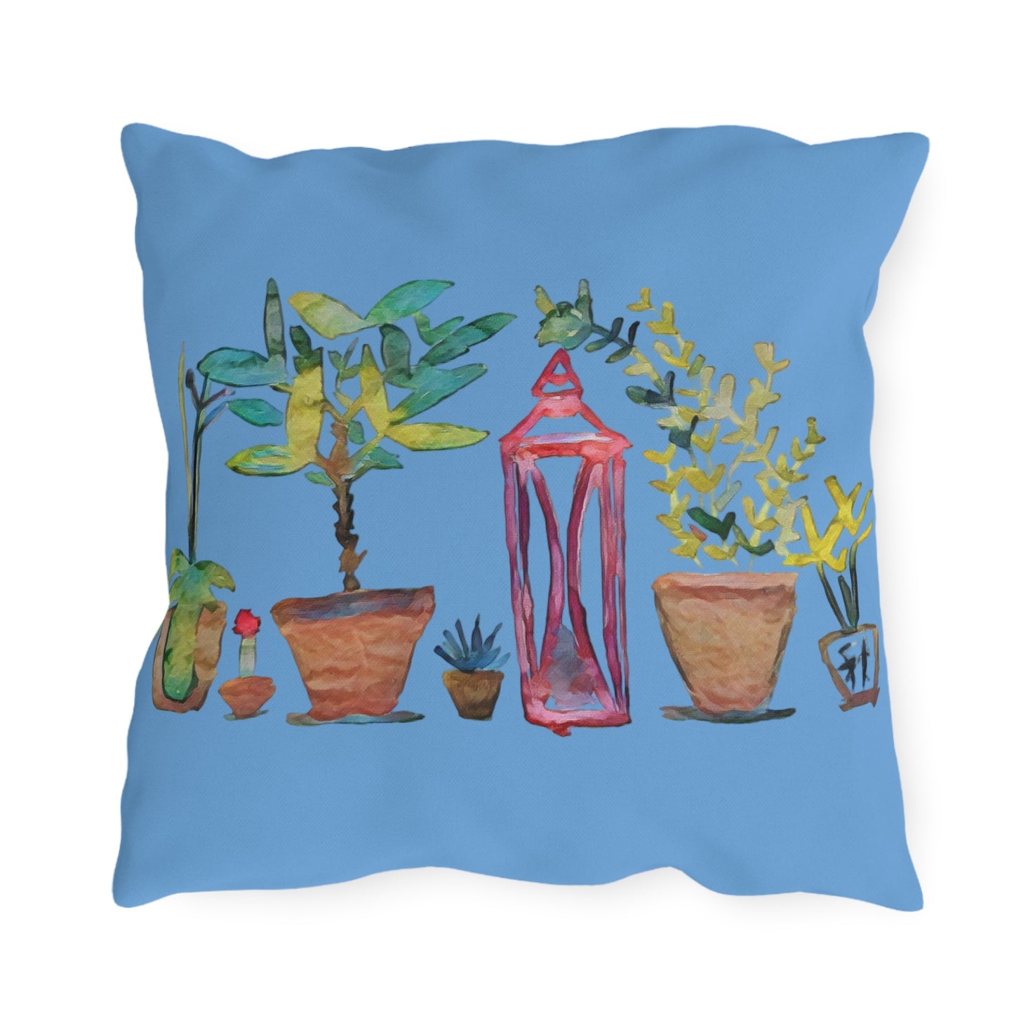 Outdoor Pillow Plants