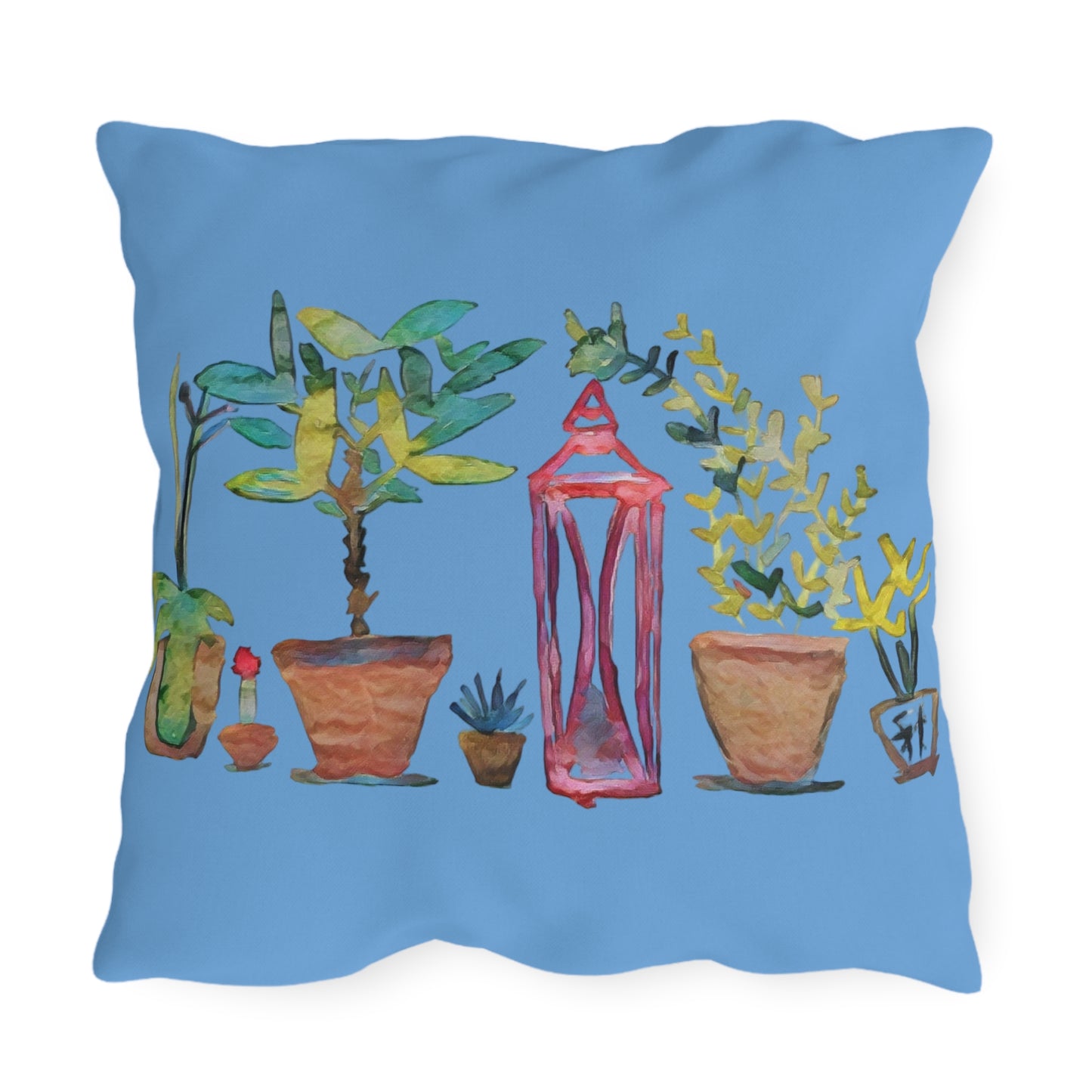 Outdoor Pillow Plants